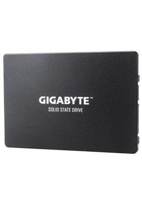 Gigabyte 2.5"[GP-GSTFS31100TNTD]