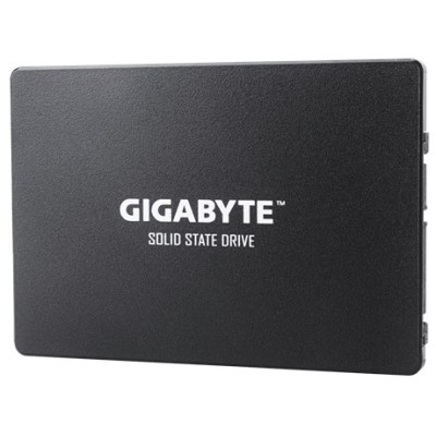 Gigabyte 2.5"[GP-GSTFS31100TNTD]