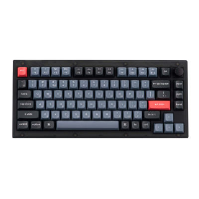 Keychron Клавіатура механічна V1 84Key, Gateron G PRO Blue, USB-A, Hot-Swap, QMK, Knob, EN/UKR, RGB, Frosted Black