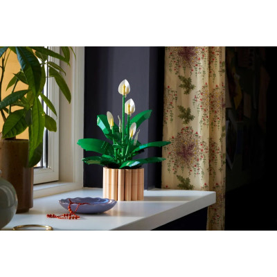 LEGO Конструктор LEGO Botanicals Спатифілум LEGO Конструктор LEGO Botanicals Спатифілум