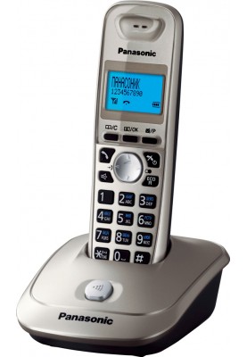 Panasonic Радіотелефон DECT KX-TG2511UAN Platinum