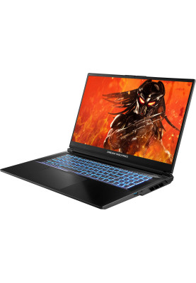 Dream Machines Ноутбук RG4050-17 17.3FHD IPS, Intel i7-14650HX, 16GB, F1TB, NVD4050-6, DOS, чорний