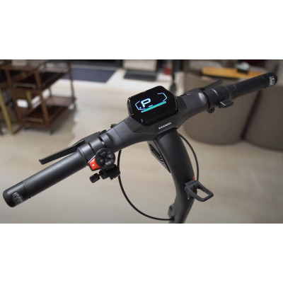 Segway Електросамокат ZT3 PRO E, чорний