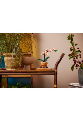 LEGO Конструктор Botanicals Міні орхідея