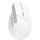 Trust Миша Trust Bayo 2 Ergonomic, USB-A, біла