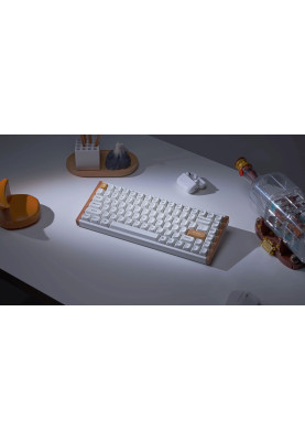 Keychron Клавіатура механічна K2HE 81Key, Gateron Double-Rail Magnetic Nebula, WL/BT/USB-A, QMK, Hot-swap, RGB, дерево,білий