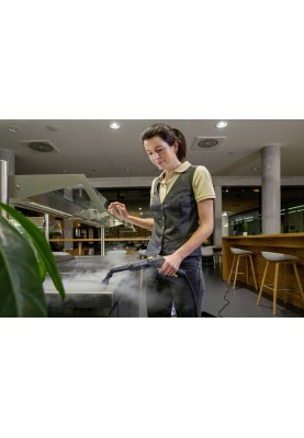 Karcher Пароочиститель SG 4/2 Classic, 2250 Вт, 4 бар, 145 ° C, 7 кг