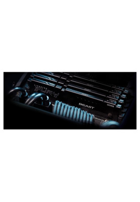 Kingston Пам'ять ПК DDR5 64GB KIT (32GBx2) 6000 FURY Beast EXPO