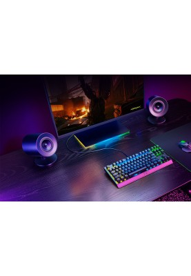 Razer Акустична система Razer V2 X USB-A, чорний