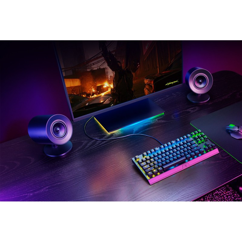 Razer Акустична система Razer V2 X USB-A, чорний