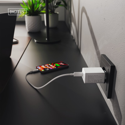Digitus Зарядний пристрій GaN 1хUSB-C, 1хUSB-A, 30W