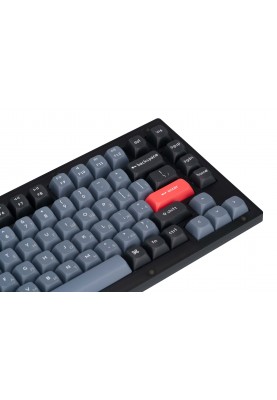 Keychron Клавиатура V1 84 Key QMK Gateron G PRO Brown Hot-Swap RGB Frosted Black