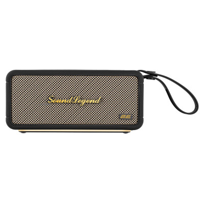 2E Портативна акустична система SoundLegend 80Вт, BT 5.3, TWS, FLAC, MP3, WAV, EQ, PowerBank, IPX6, RGB, Чорний