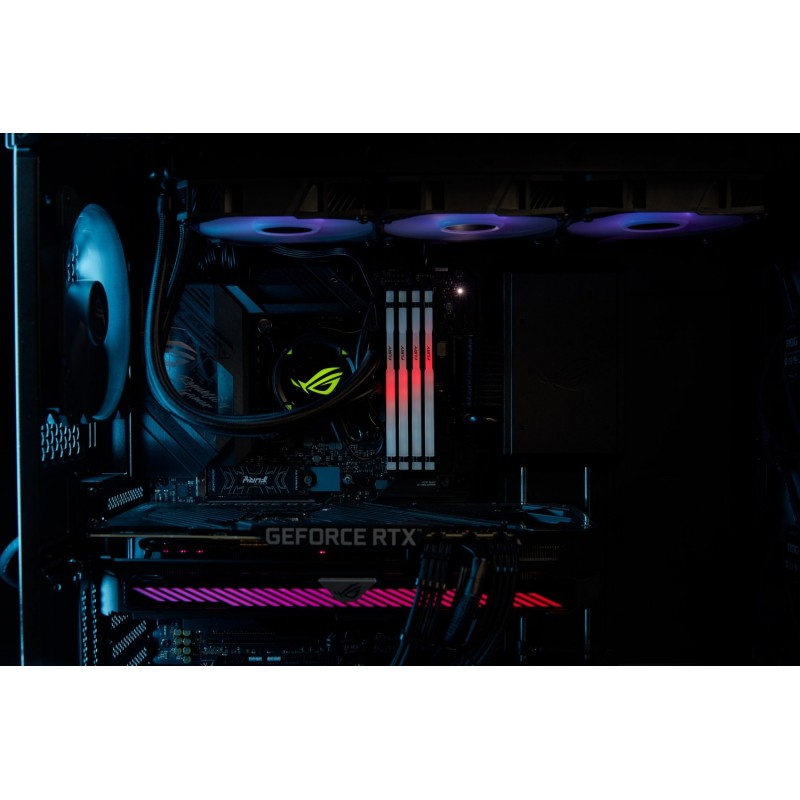 Kingston Пам'ять до ПК DDR5 5200 8GB Beast Black RGB