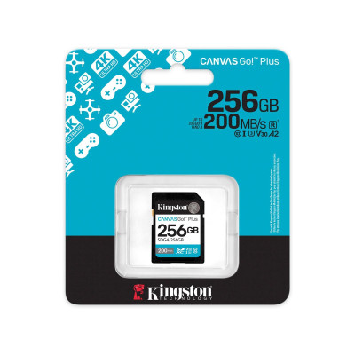 Kingston Карта пам'яті Kingston SD 256GB C10 UHS-I U3 V30 R200/W160MB/s