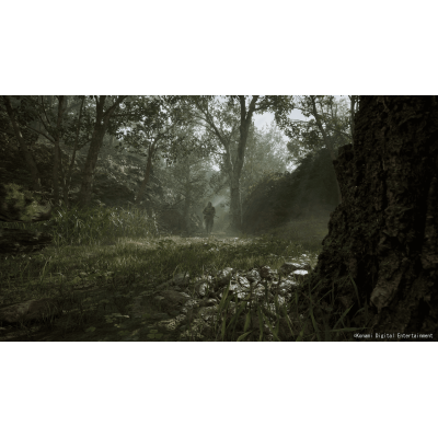 Games Software Gear Solid Delta: Snake Eater Day 1 Edition [BD диск] (PS5)