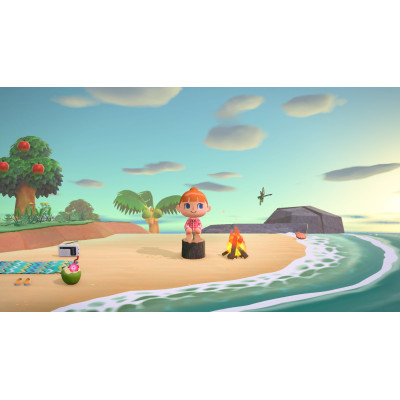 Games Software Animal Crossing: New Horizons (SWITCH)