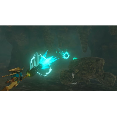 Games Software Switch The Legend of Zelda Tears of the Kingdom (Switch)