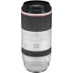 Canon RF 100-500mm f/4.5-7.1 L IS USM