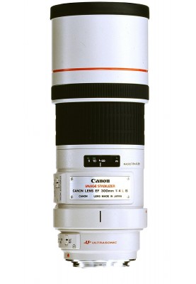 Canon EF 300mm f/4.0L IS USM