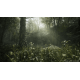 Games Software Gear Solid Delta: Snake Eater Day 1 Edition [BD диск] (PS5)