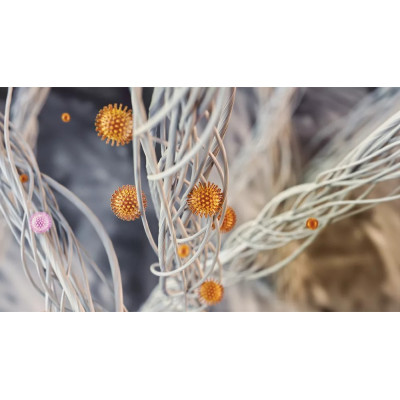 Philips Очисник повітря 1000i Series, 78м2, 300м3/год, дисплей, Nano, НЕРА,попередн.,вугільний фільтр, Wi-Fi, 4 режими, білий Philips Очисник повітря 1000i Series, 78м2, 300м3/год, дисплей, Nano, НЕРА,попередн.,вугільний фільтр, Wi-Fi, 4 режими, білий