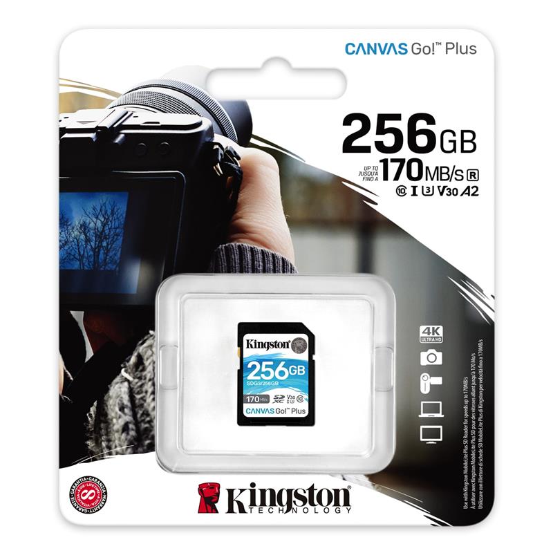 Kingston Карта пам'яті SD 256GB C10 UHS-I U3 R170/W90MB/s