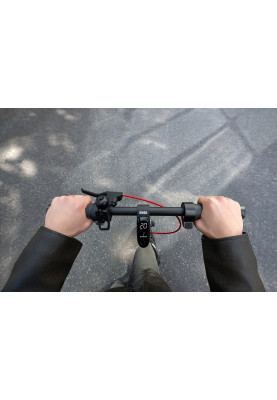 Segway Електросамокат F2 PRO E II, чорний