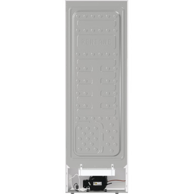 Gorenje Холодильна камера R619EEW5