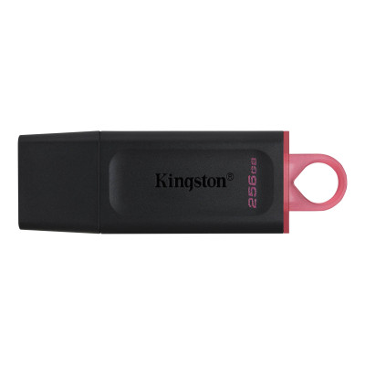Kingston Накопичувач 256GB USB 3.2 Type-A Gen1 DT Exodia