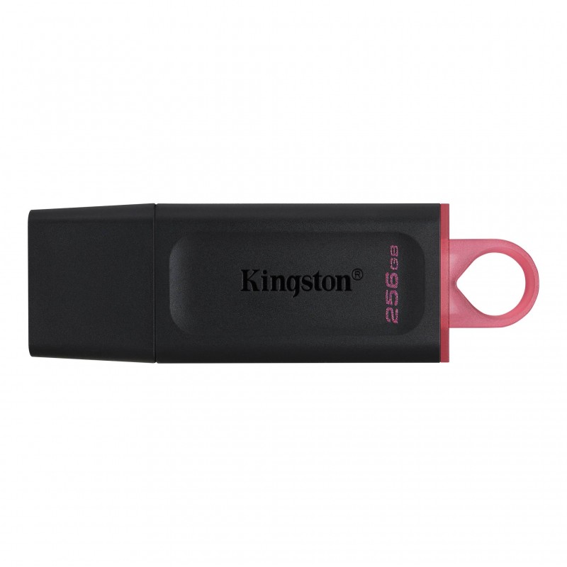 Kingston Накопичувач 256GB USB 3.2 Type-A Gen1 DT Exodia