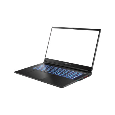 Dream Machines Ноутбук RG4060-17 17.3FHD IPS 144Hz/Intel i7-13700H/16/1024F/NVD4060-8/DOS