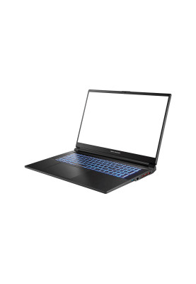 Dream Machines Ноутбук RG4050-17 17.3FHD IPS 144Hz/Intel i7-13700H/32/1024F/NVD4050-6/DOS