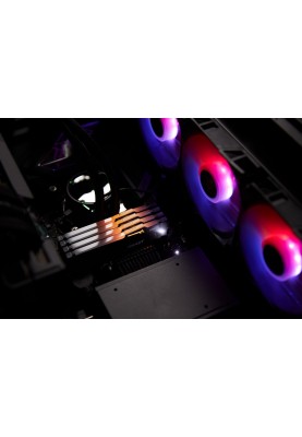 Kingston Пам'ять до ПК DDR5 5200 8GB Beast Black RGB