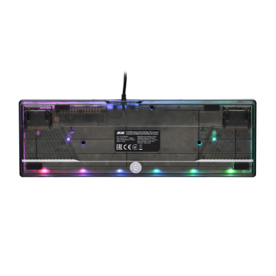 2E Gaming Клавіатура KG345 RGB 68key USB Transparent