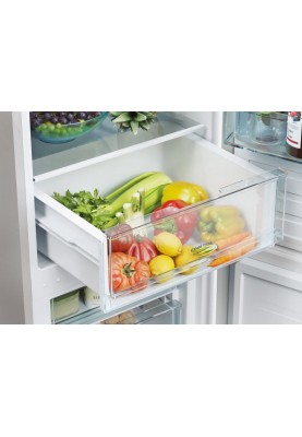 Candy Холодильник з нижн. мороз., 176x55х54.5, холод.відд.-186л, мороз.відд.-74л, 2дв., А+, ST, сріблястий