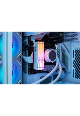 Kingston Пам'ять ПК DDR5 16GB 5600 FURY Beast RGB EXPO Білий