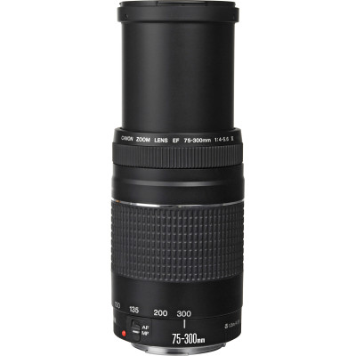 Canon Об'єктив EF 75-300mm f/4.0-5.6 III