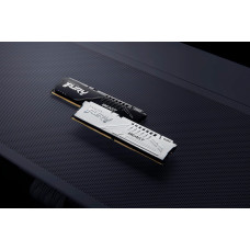 Kingston Пам'ять ПК Kingston DDR5 16GB 6000 FURY Beast EXPO Білий