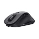 Trust Миша Fyda Rechargeable WL ECO Black