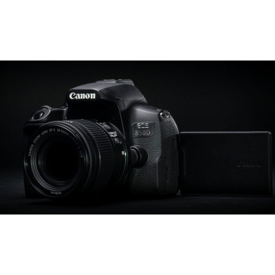 Canon EOS 850D[18-135 IS nano USM]