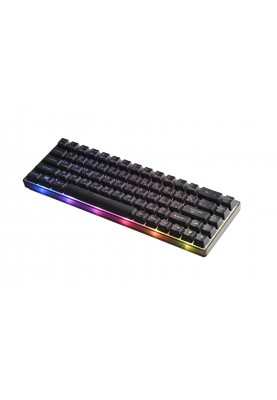 2E Gaming Клавіатура KG345 RGB 68key USB Transparent