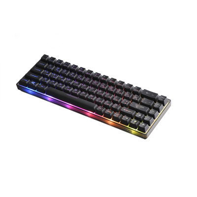 2E Gaming Клавіатура KG345 RGB 68key USB Transparent
