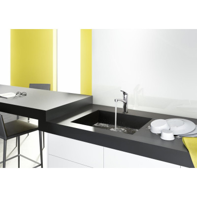 Hansgrohe Змішувач для кухні Focus, довж.виливу - 220мм, поворотний, 1важіль, KM160, сталь