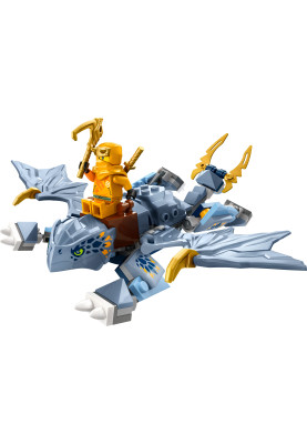 LEGO Конструктор Ninjago Молодий дракон Рію