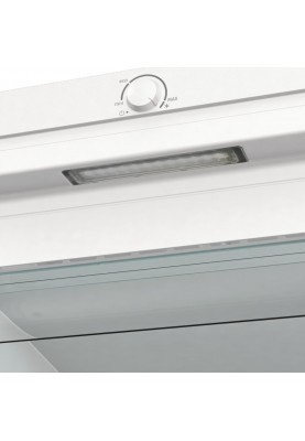 Gorenje Морозильна камера А++, NF, інвертор FNP619EEW5L