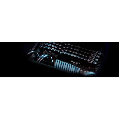 Kingston Пам'ять ПК DDR5 32GB 6000 FURY Beast Black XMP