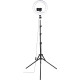 HAMA Штатив зі світлодіодним кольцем SpotLight Steady 120 V2 BT Black