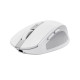 Trust Миша OZZA compact, BT/WL/USB-A, білий