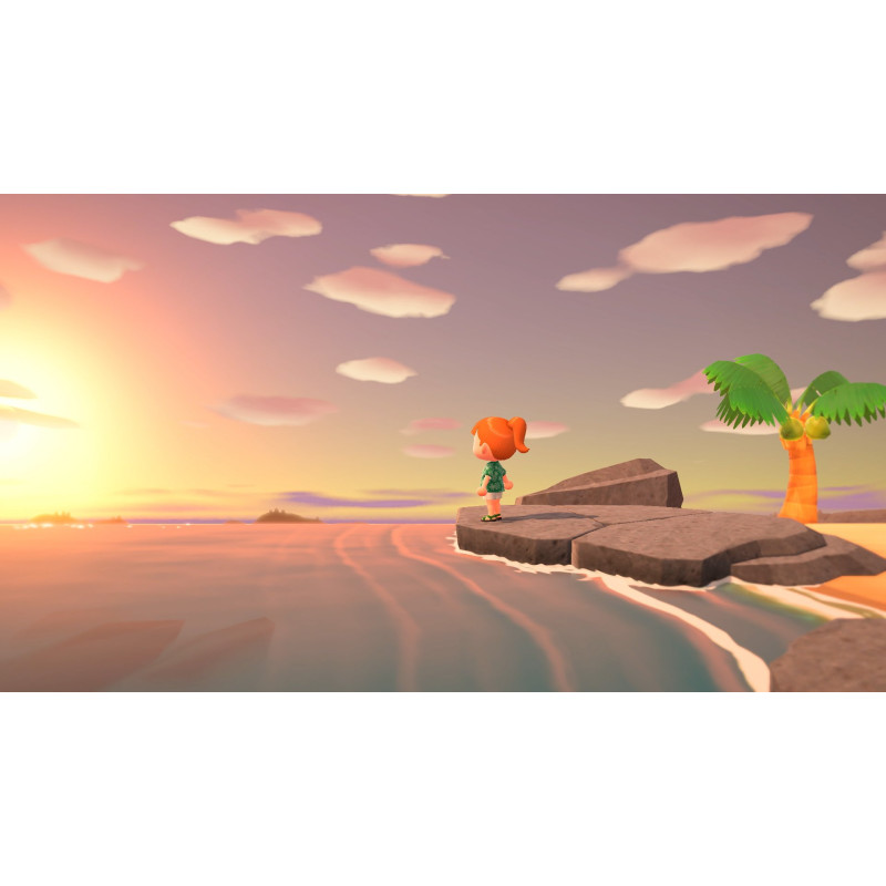Games Software Animal Crossing: New Horizons (SWITCH)